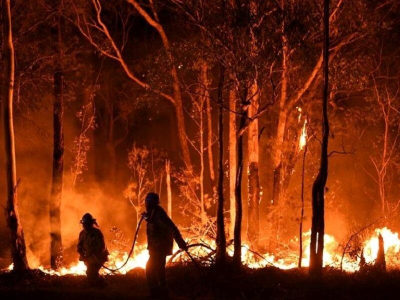 ۸۰ هکتار از اراضی طبیعی گیلان در آتش سوخت