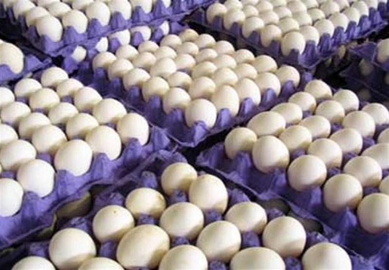 تخم مرغ گران می شود | زمان اعلام قیمت های جدید
