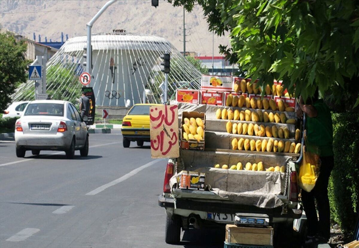 پشت‌پرده عجیب مافیای وانتی‌های شهر/ وانت بارها را چه کسی اجاره می‌دهد؟