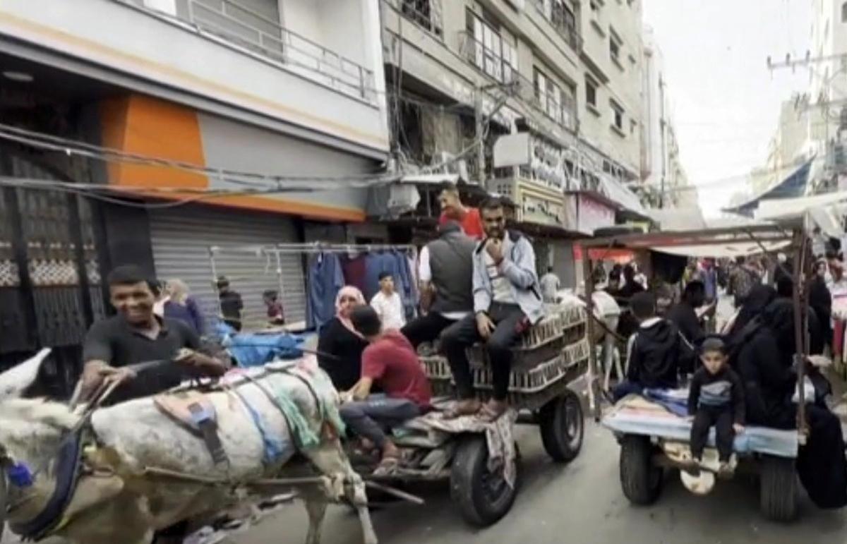 فاجعه سوختی در غزه | الاغ‌ها به جای ماشین در خیابان‌های غزه +تصاویر