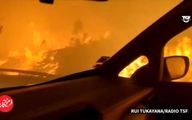 ویدیویی از وسط جنگل‌های غرق در آتش