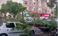 بزرگ‌ترین طوفان چند سال اخیر در تهران | 9 نفر مصدوم شدند