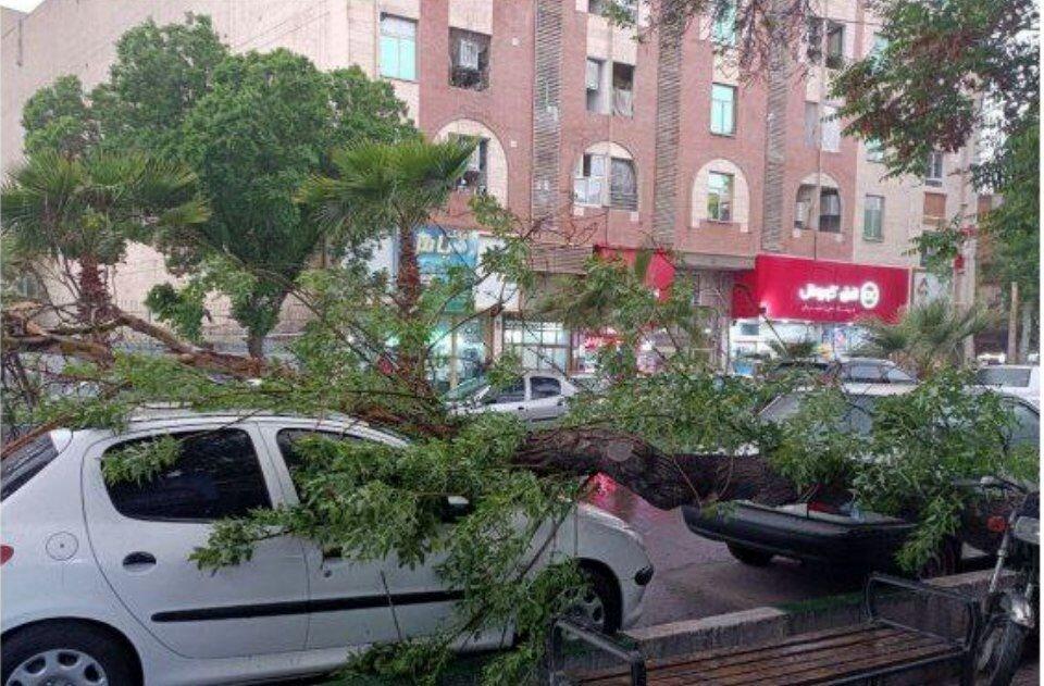 خسارت طوفان تهران چقدر بود؟+عکس