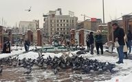حال و هوای امامزاده صالح(ع) در برف +عکس