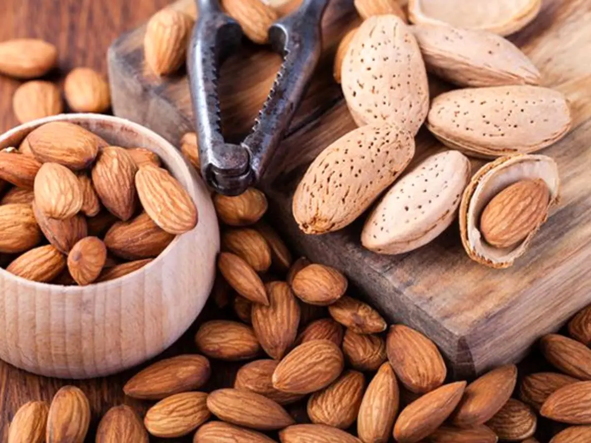 دنبال کالریسوزی هستید؟ / این مغز آجیلی به کارتان میآید