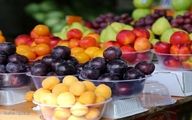 کاهش چهل درصدی قیمت میوه