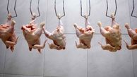 طغیان مرغ و گوشت در بازار | دولت تکلیف قیمت مرغ را مشخص کرد