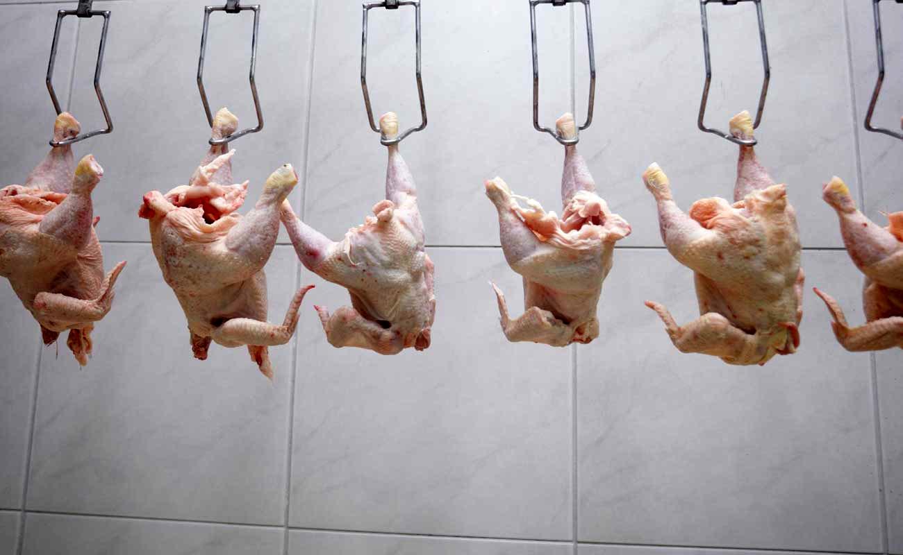 طغیان مرغ و گوشت در بازار | دولت تکلیف قیمت مرغ را مشخص کرد