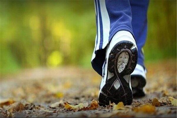 فواید چند دقیقه پیاده روی روزانه برای سلامت بدن