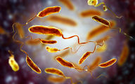 هشدار مهم درباره شیوع وبا | تعداد مبتلایان به وبا افزایش یافت