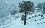 کولاک وحشتناک در راه ایران/ در این استان ها یک متر برف می بارد