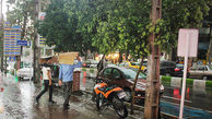 بارش باران و تگرگ در راه تهران