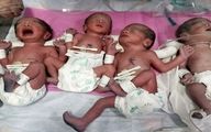 تولد چهارقلوها در یزد پس از سالها نازایی مادرشان + عکس