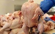 قیمت مرغ باز هم گران می‌شود؟