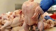 قیمت مرغ باز هم گران می‌شود؟