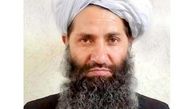 تصمیم رهبر طالبان برای تشکیل «نظام خالص شرعی در افغانستان»