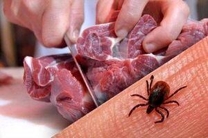 خطر مرگ با مصرف این گوشت | از خریدن این گوشت اجتناب کنید

