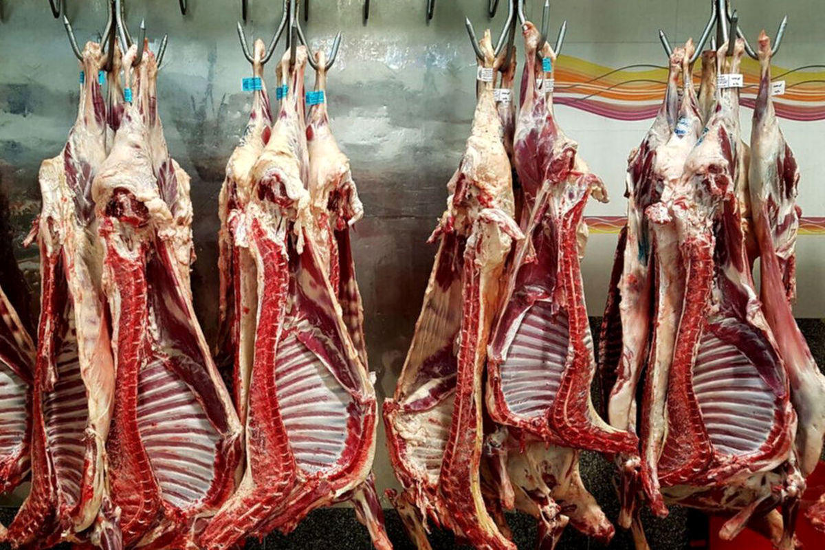 گوشت‌های آفریقایی رسیدند/ قیمت گوشت ارزان می‌شود؟