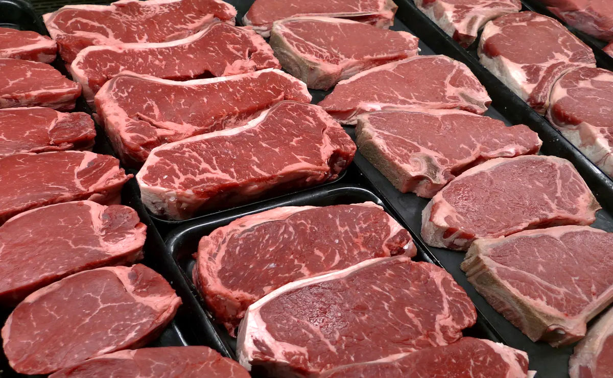 با واردات گوشت قرمز، قیمت‌ها ارزان می‌شود؟
