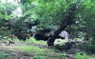 غار محل سکونت «عزیز غارنشین» ثبت ملی‌ می‌شود
