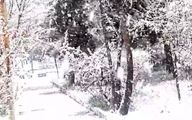 کولاک سنگین برف در استان البرز هم اکنون + فیلم


