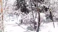 کولاک سنگین برف در استان البرز هم اکنون + فیلم

