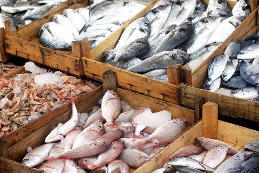 قیمت ماهی در آستانه شب عید | قزل‌آلا و گوشت ماهی کیلویی چند؟