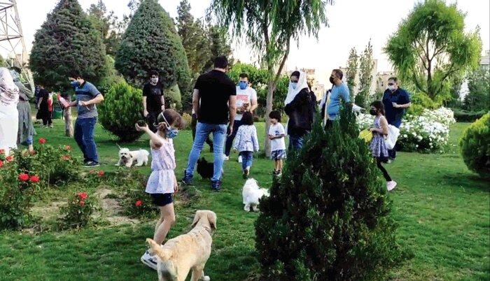 شهرداری: ورود سگ‌ها به بوستان‌های تهران ممنوع است