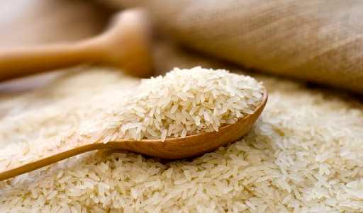 واردات برنج آغاز می‌شود؟