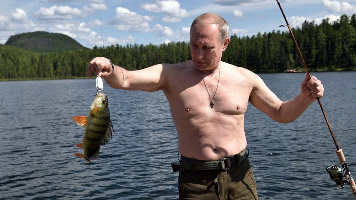 واکنش پوتین به طعنه رهبران گروه ۷ به عکس بالاتنه برهنه‌اش | لخت شوید تا ببینیم!