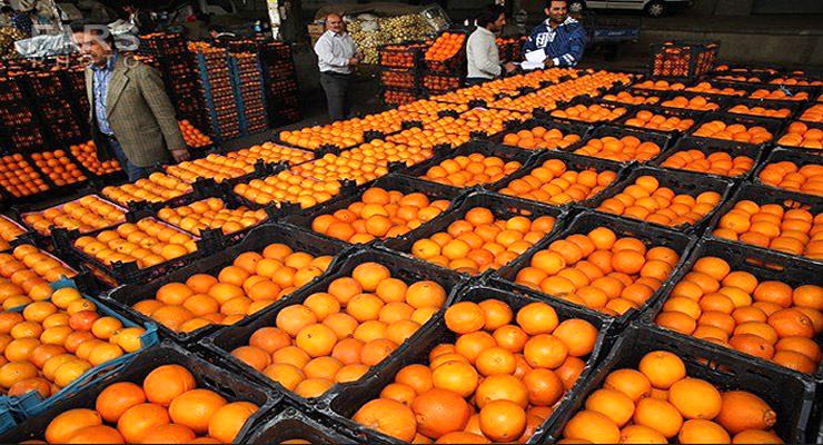 نارنگی و پرتقال کیلویی چند؟ + جدیدترین قیمت ها