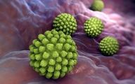 هشدار درباره شیوع یک ویروس بسیار مسری و خطرناک + علایم ابتلا به روتاویروس