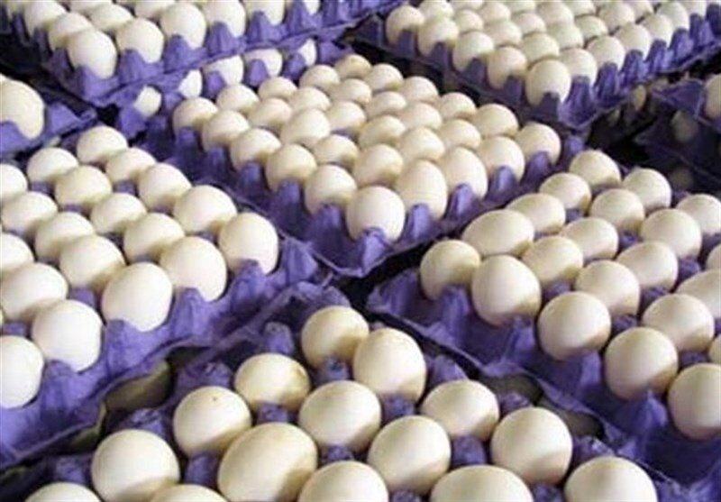 قیمت تخم‌مرغ در سوپرمارکت‌ها چند شد؟