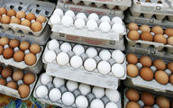 ضرر بزرگ مرغداران از فروش تخم مرغ