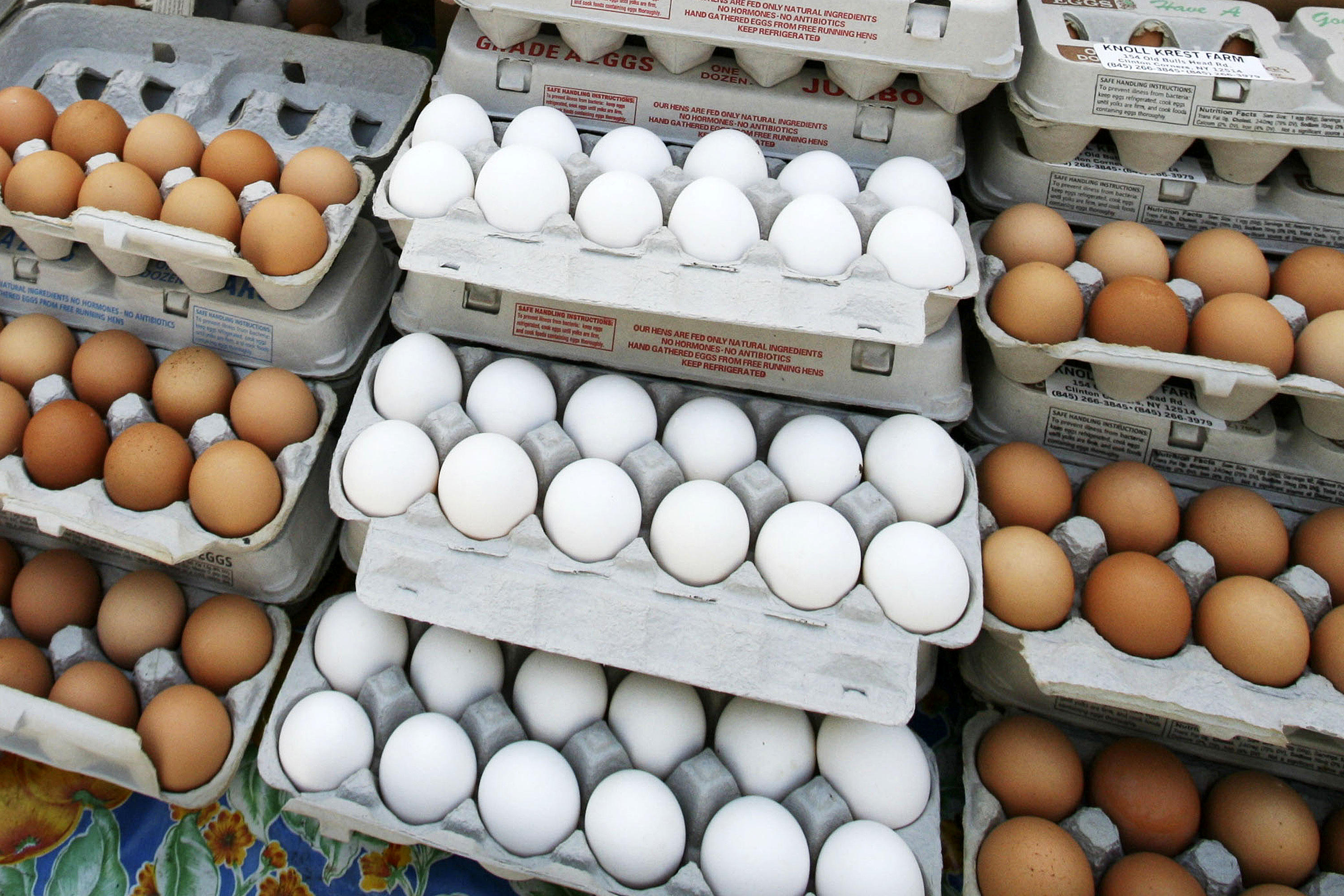 وضعیت بازار تخم مرغ تا پایان سال چگونه است؟