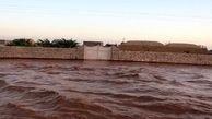 وضعیت اضطراری در هرمزگان / یک روستا زیر آب رفت!