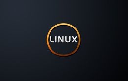 مزایای سرور مجازی لینوکس (Linux VPS)