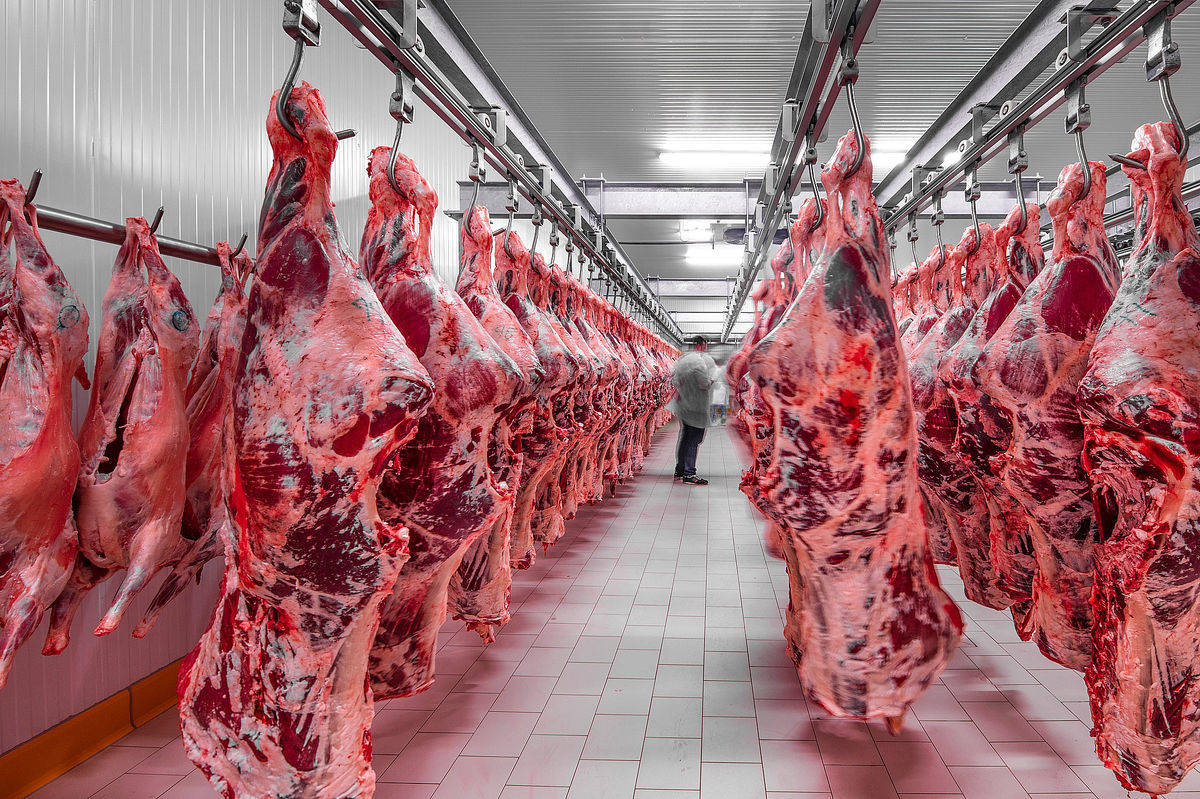 افزایش شدید قیمت گوشت در اسفندماه | قیمت انواع گوشت + جدول