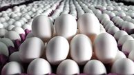  درخواست مدیرعامل میادین میوه و تره بار از دولت برای گران کردن تخم مرغ 