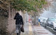 بارش برف مدارس ابتدایی مشهد را هم تعطیل کرد