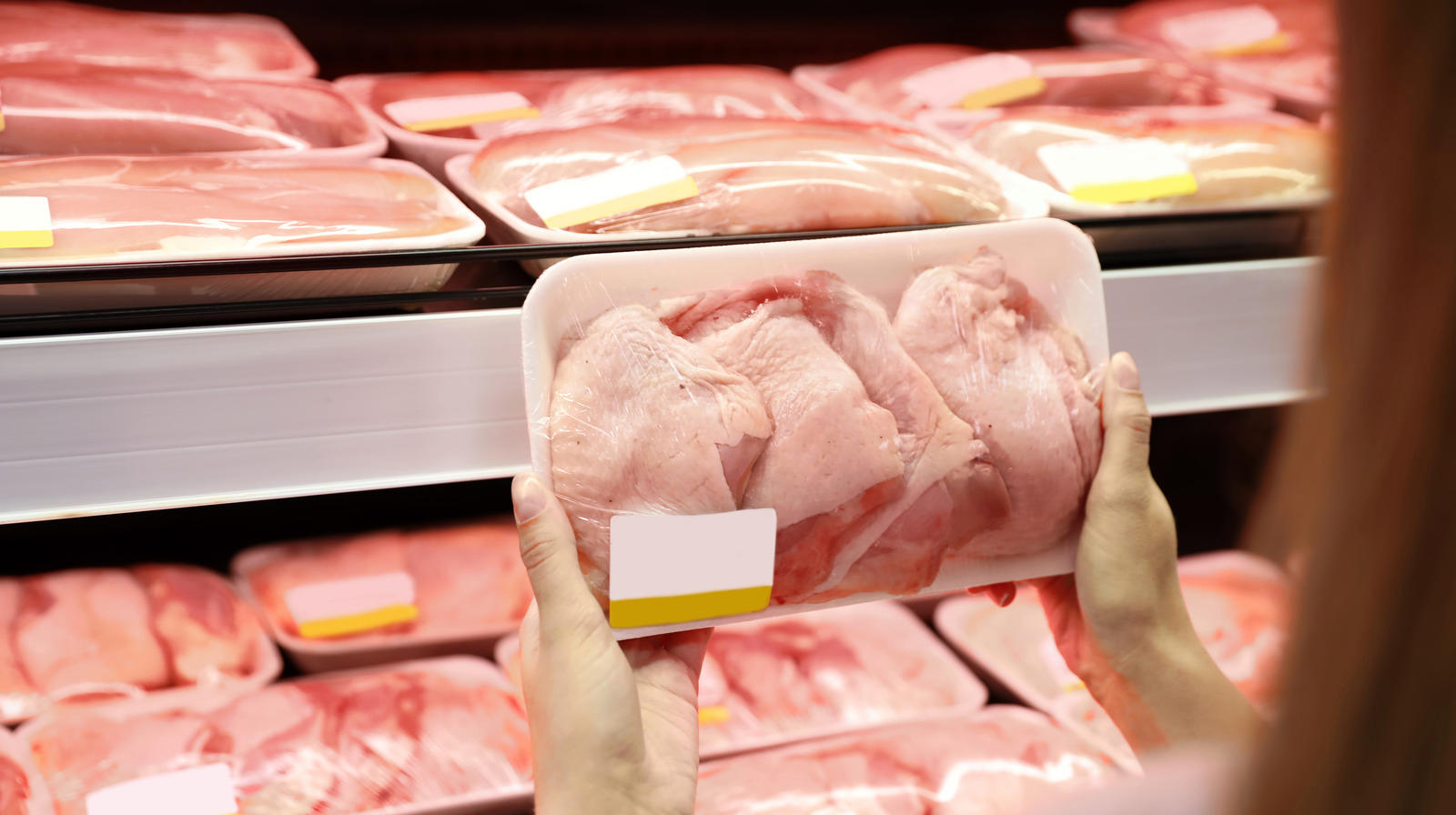 مرغ دوباره گران می شود؟ + آخرین قیمت ها