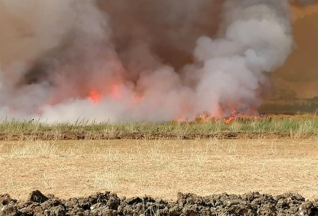 نیزارهای دریاچه زریبار در آتش سوخت