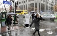 هواشناسی: بارش‌های بهاره تهران ۵۱درصد کمتر شده