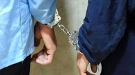 دستگیری سرکرده گروهک تروریستی جیش الظلم در هرمزگان 