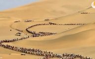 ترافیک شترها؛ هزاران گردشگر سوار بر شتر در بیابان