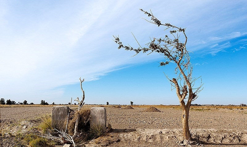 اقدام جدید طالبان برای محدودتر کردن سهمیه آب ایران