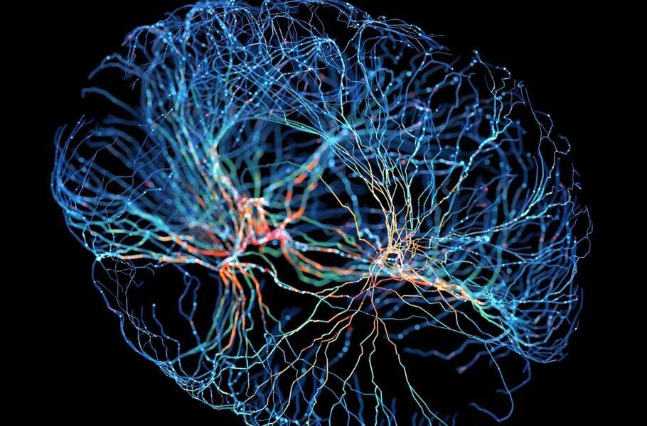 کشف بزرگ پژوهشگران درباره درمان آلزایمر / پیش‌بینی مغز از آینده