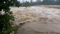 سیلاب راه ارتباطی ۳۷ روستای ریگان را مسدود کرد

