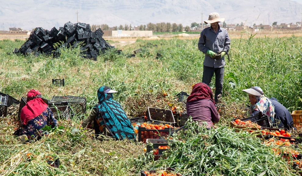 نادیده گرفتن حقوق زنان کارگر در جهان