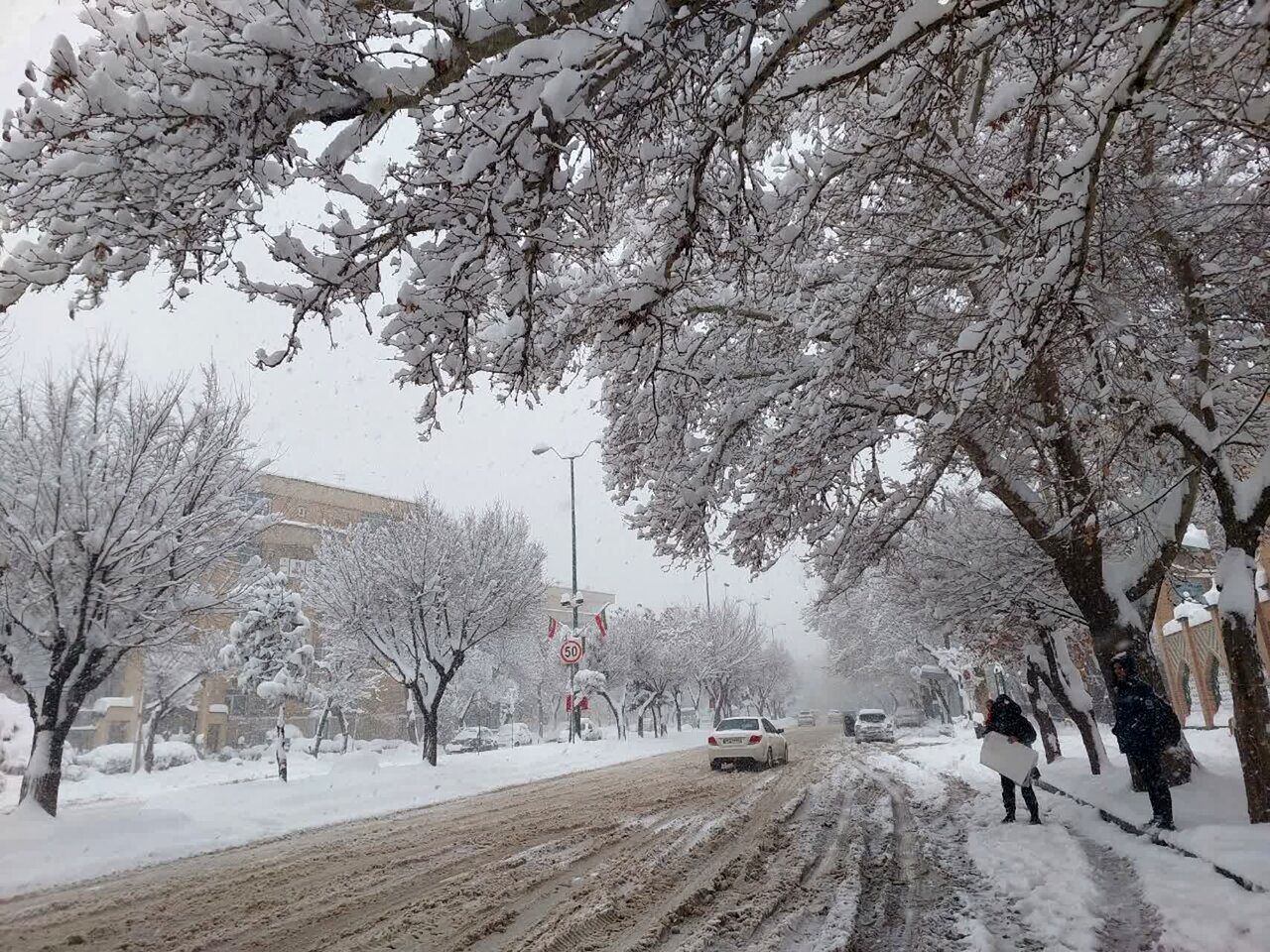 زمستان می ماند